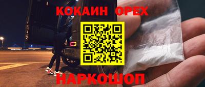 крисы Новокубанск