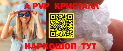 крисы Новокубанск