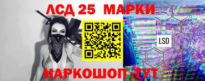 крисы Новокубанск