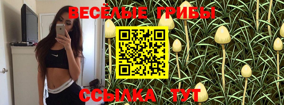 Северобайкальск  Галлюциногенные грибы ЛСД  Псилоцибиновые грибы прущие грибы  Вход с VPN 